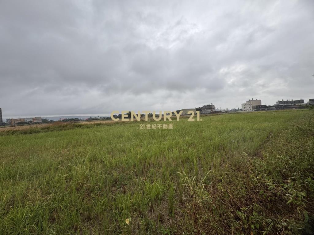 楊湖路富民街143巷295坪農地