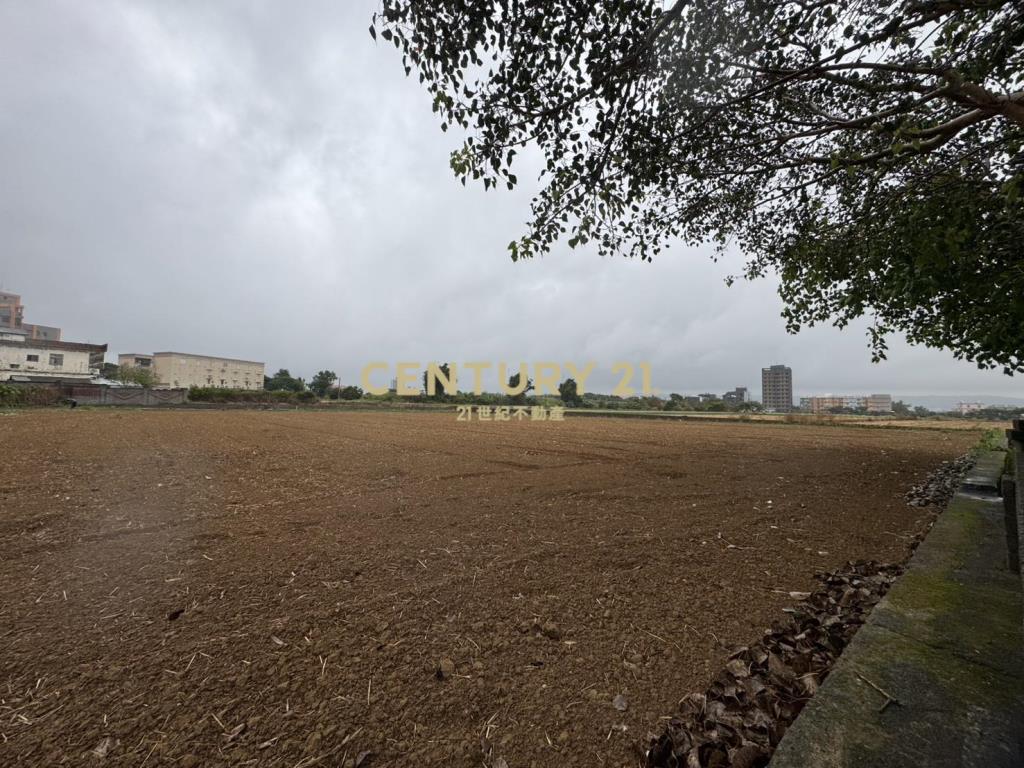 楊湖路富民街143巷295坪農地