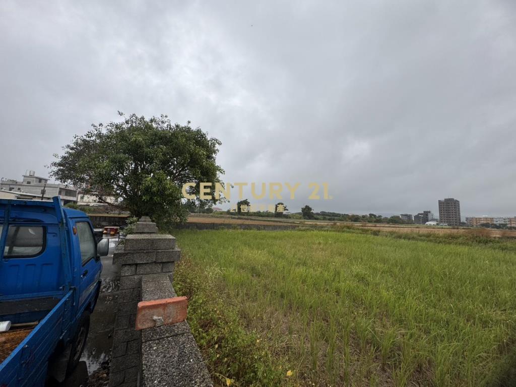 楊湖路富民街143巷295坪農地
