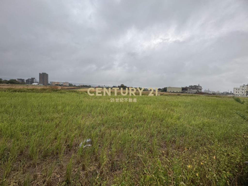 楊湖路富民街143巷295坪農地