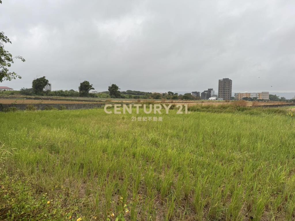 楊湖路富民街143巷295坪農地