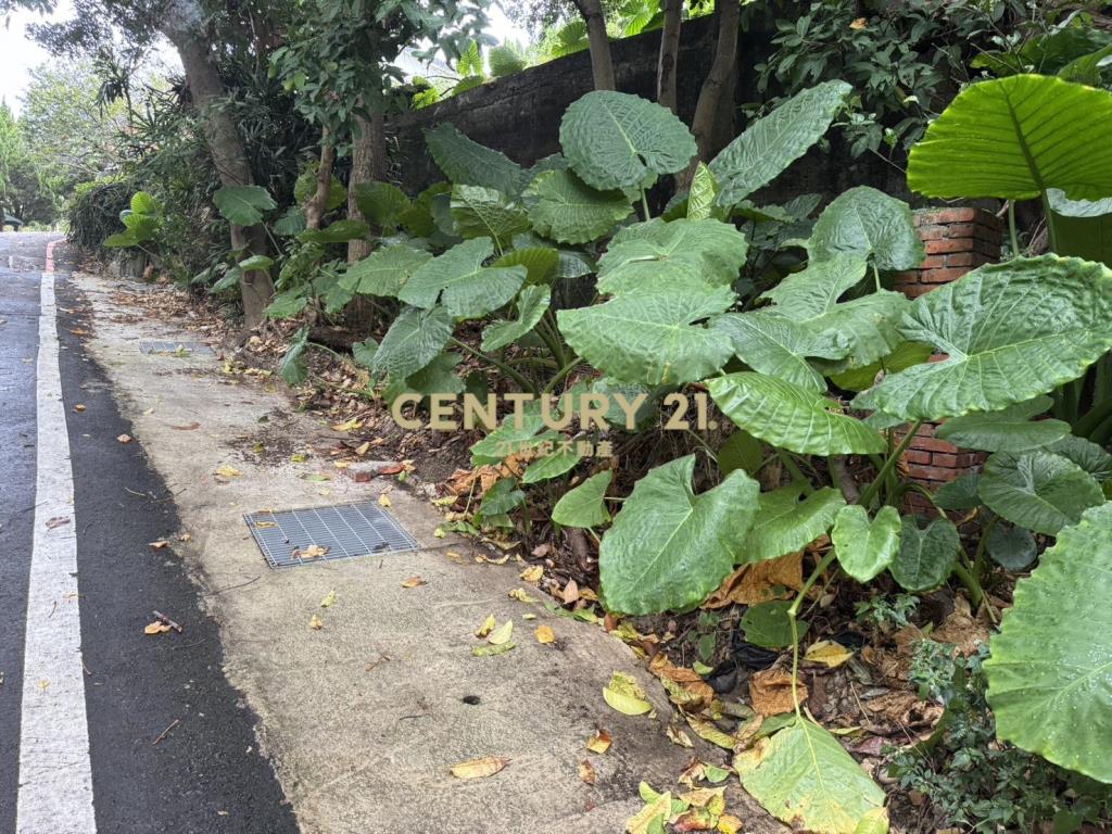 大台北世外桃源丙種建地118坪
