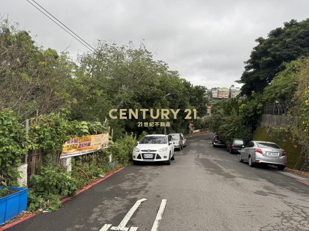 大台北世外桃源丙種建地118坪