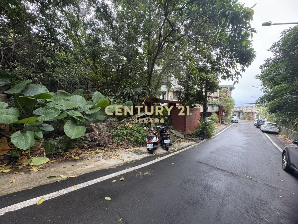 大台北世外桃源丙種建地118坪