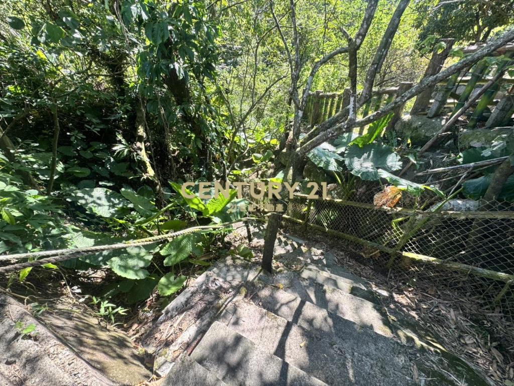 大溪區信義段農地