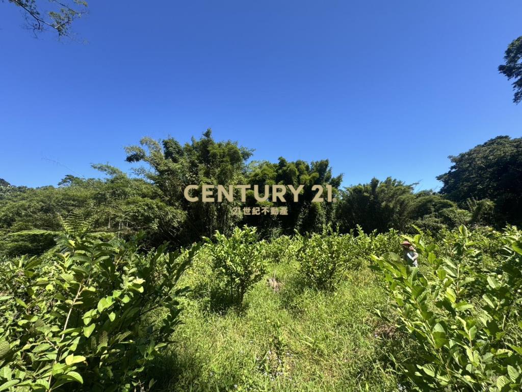 大溪區信義段農地