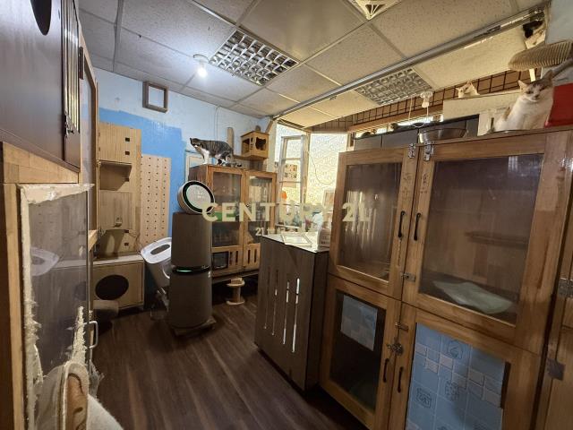 體育園區大地坪邊間透天