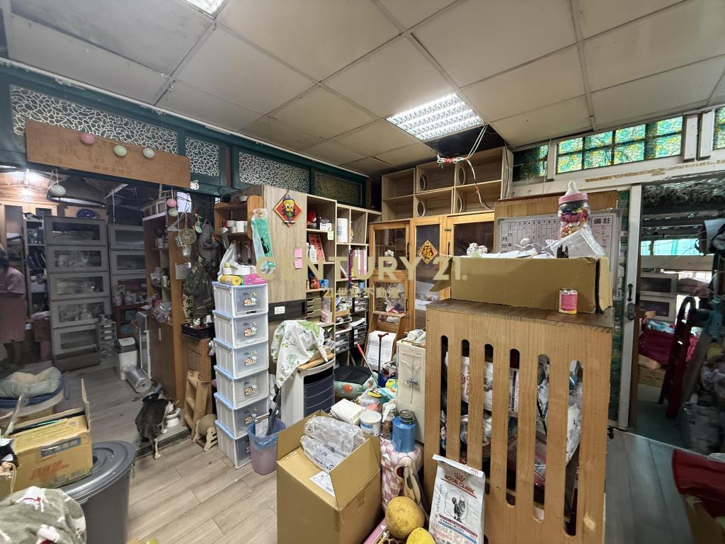 體育園區大地坪邊間透天