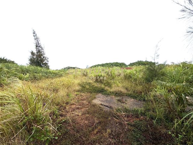楊梅近龍科、梅獅商圈千坪工業地
