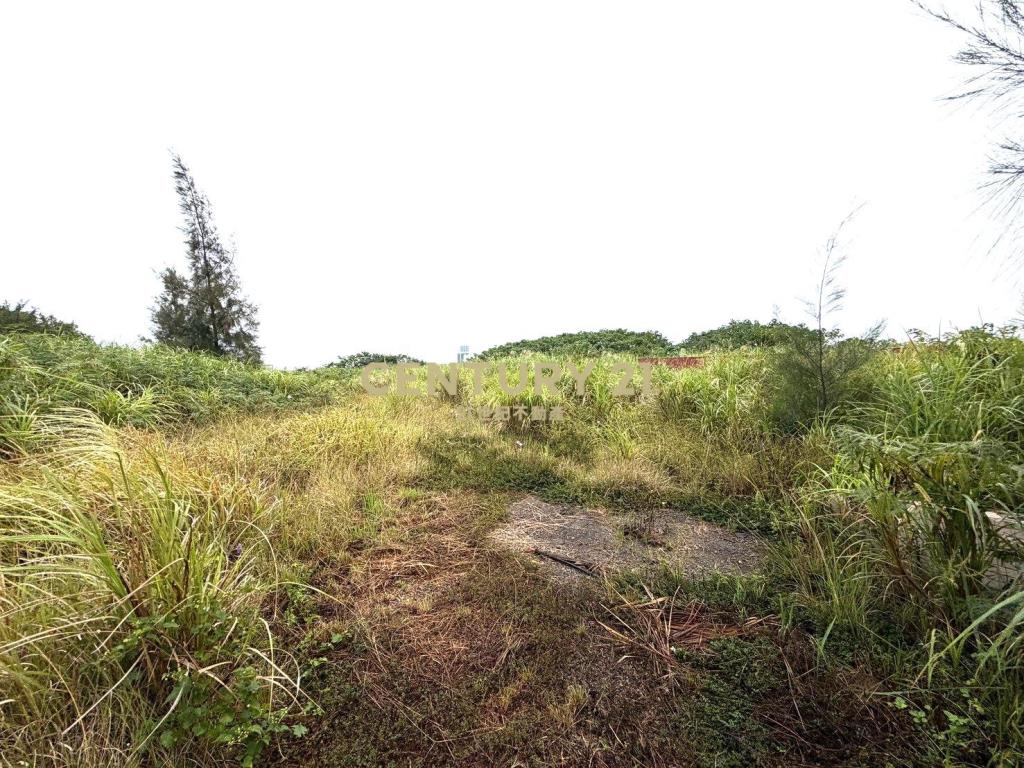 楊梅近龍科、梅獅商圈千坪工業地