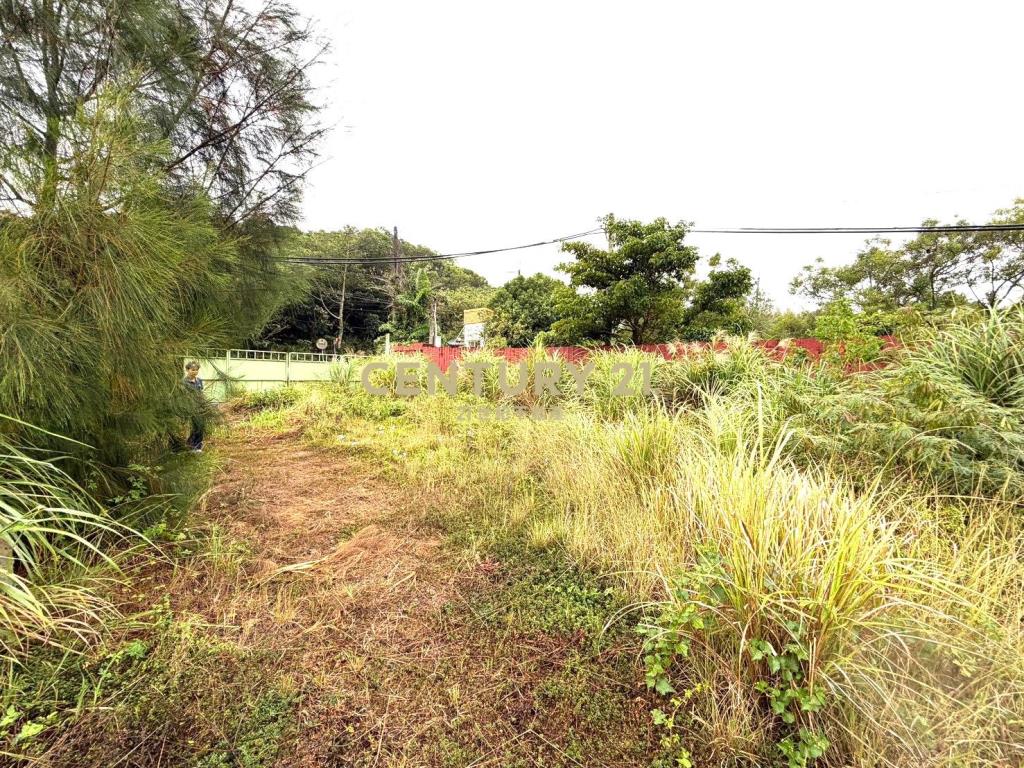 楊梅近龍科、梅獅商圈千坪工業地