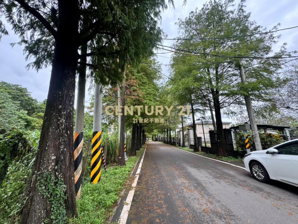 大溪落羽松公園旁小農地