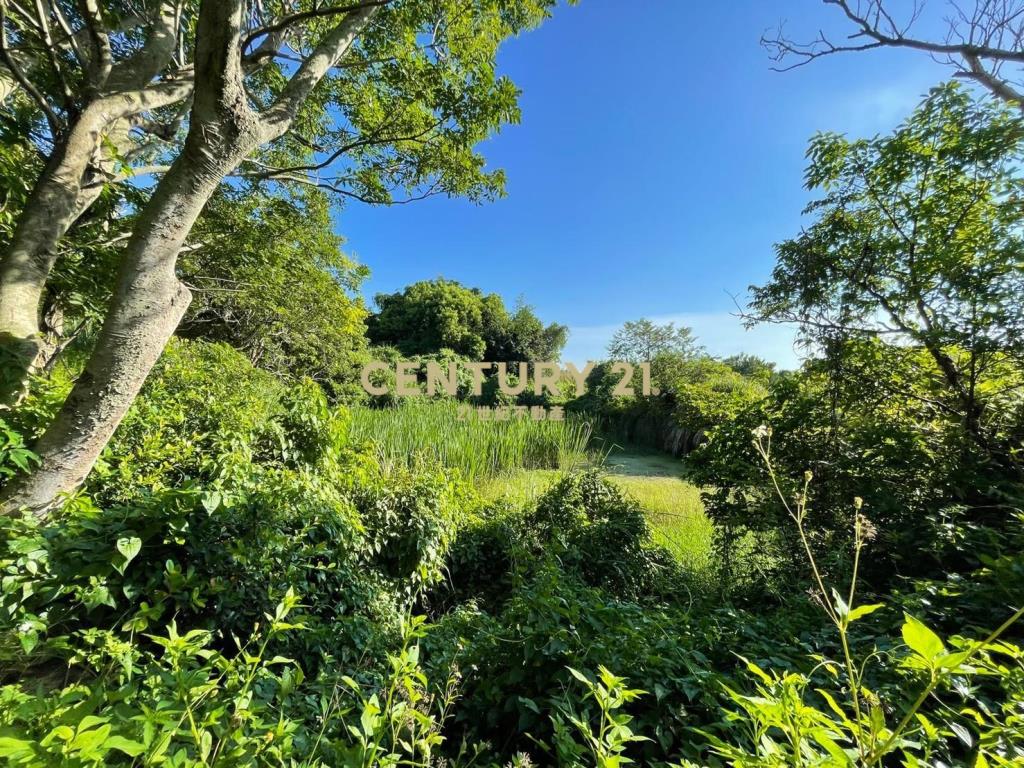 大學城景觀農建地