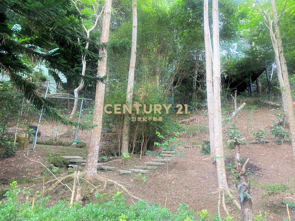 景秀福居，木屋禮遇