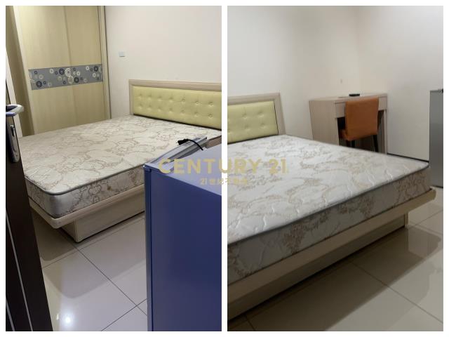 滿租3套房金雞母