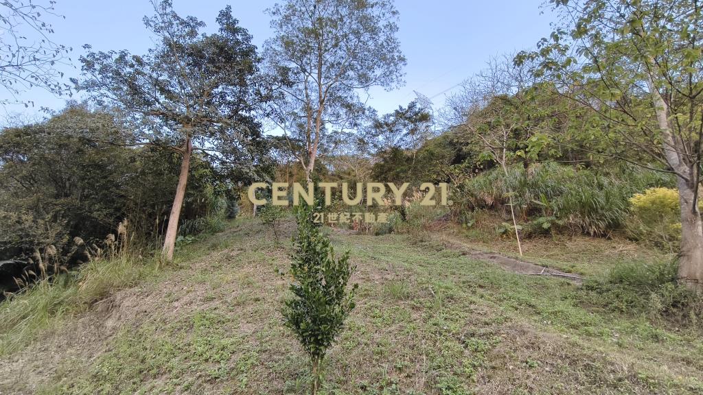 元寶環抱休閒地