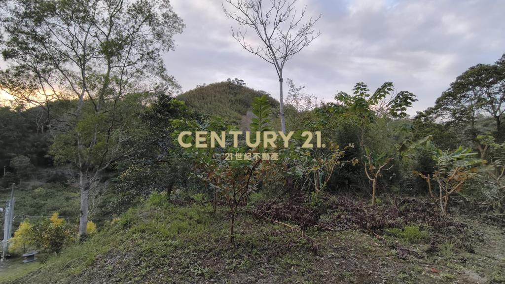 元寶環抱休閒地