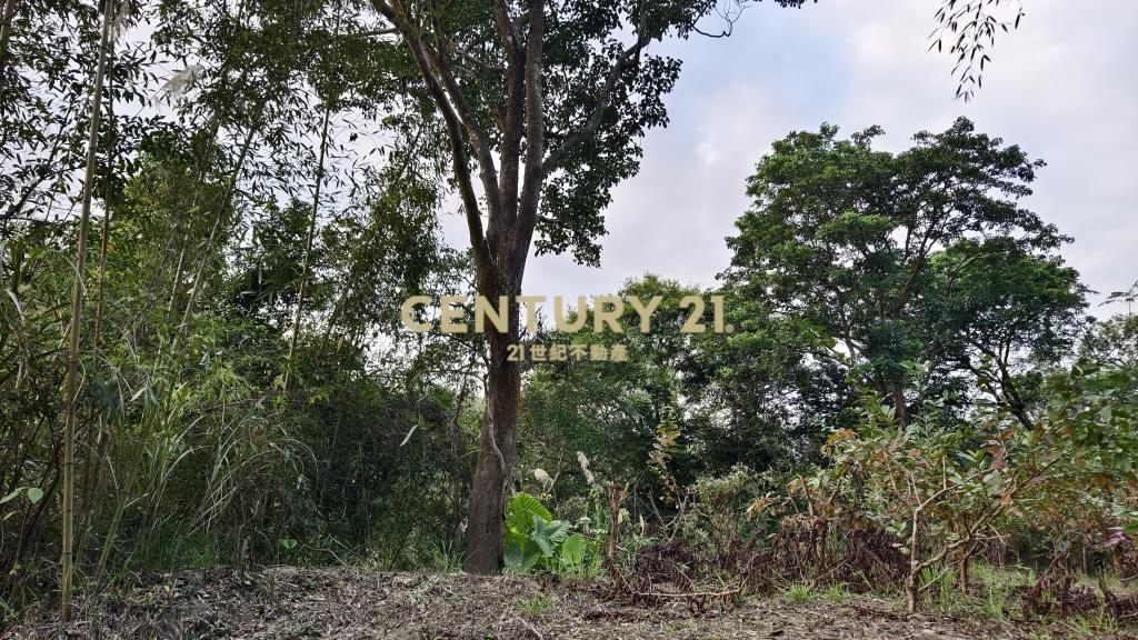 元寶環抱休閒地