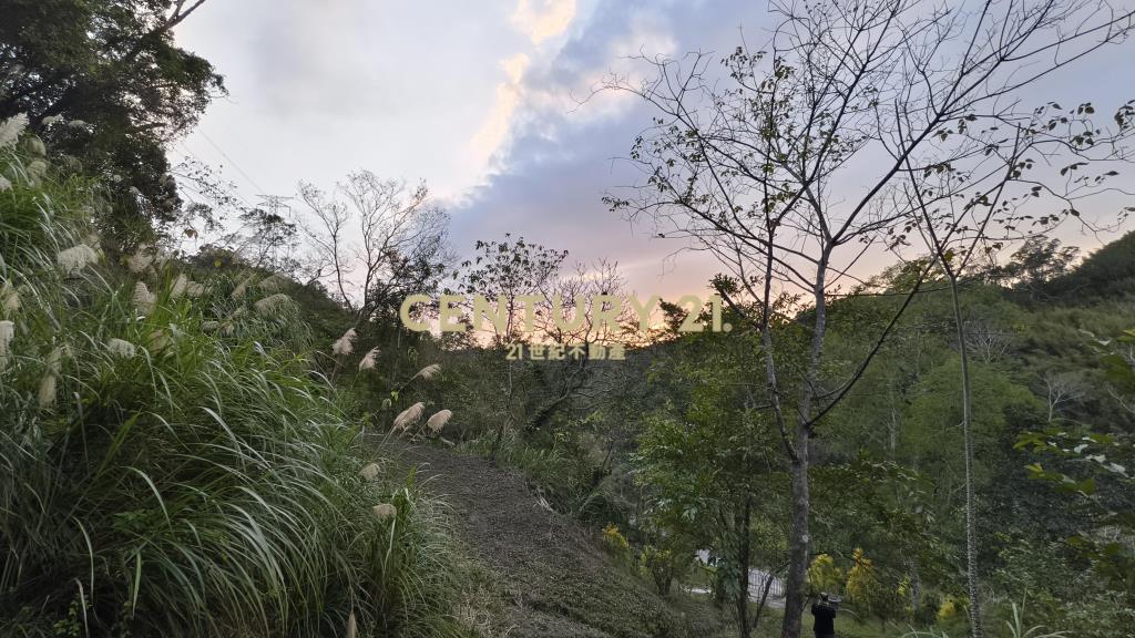 元寶環抱休閒地