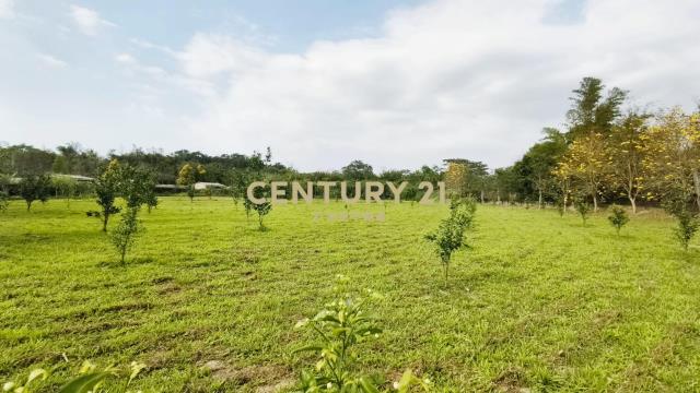 北埔水電平坦農地