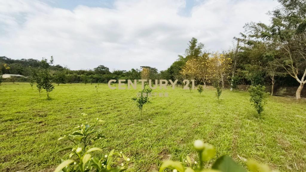 北埔水電平坦農地