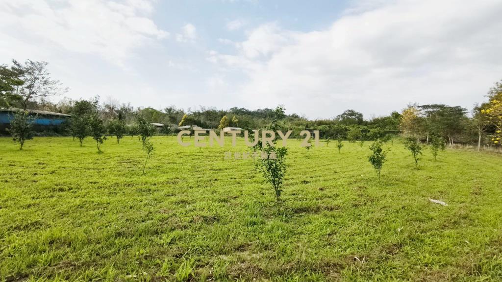 北埔水電平坦農地