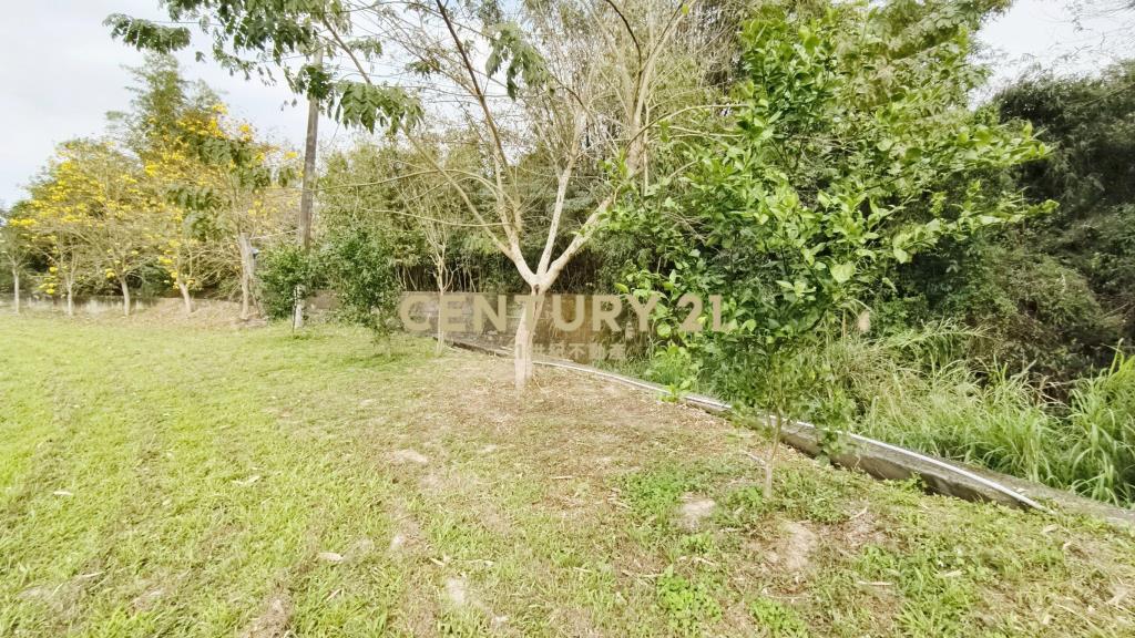 北埔水電平坦農地