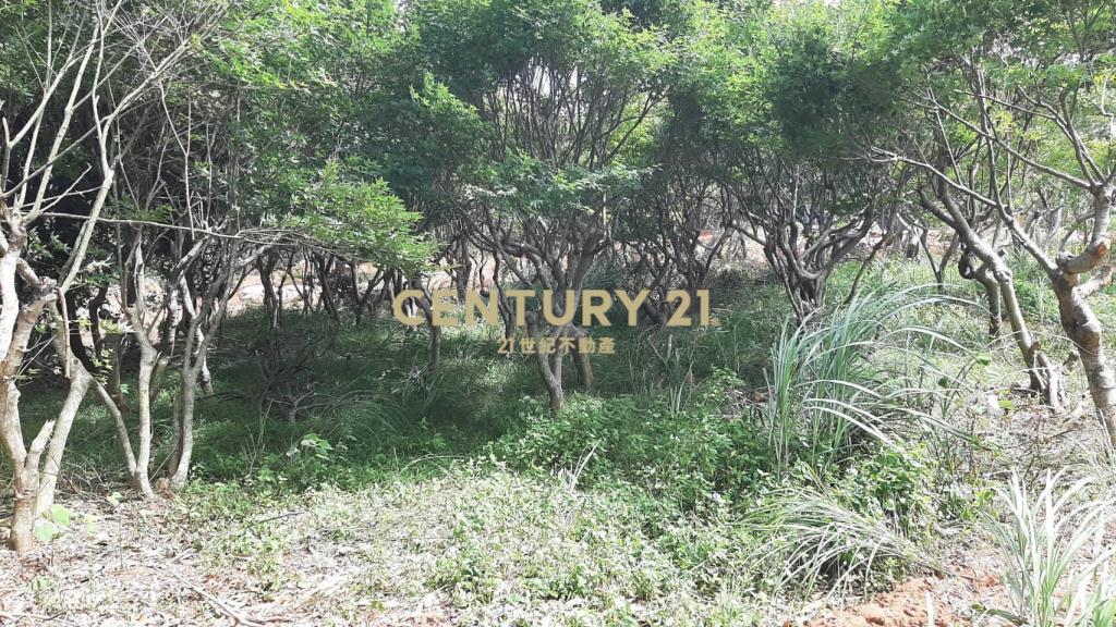 公館平坦休閒地