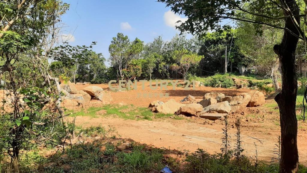 公館平坦休閒地