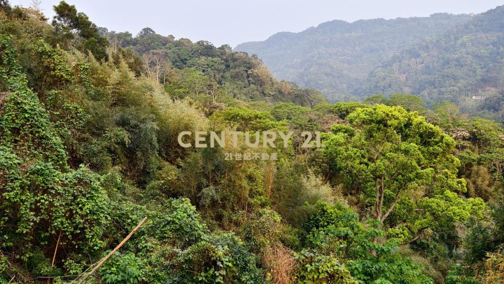 公館豐富作物林地