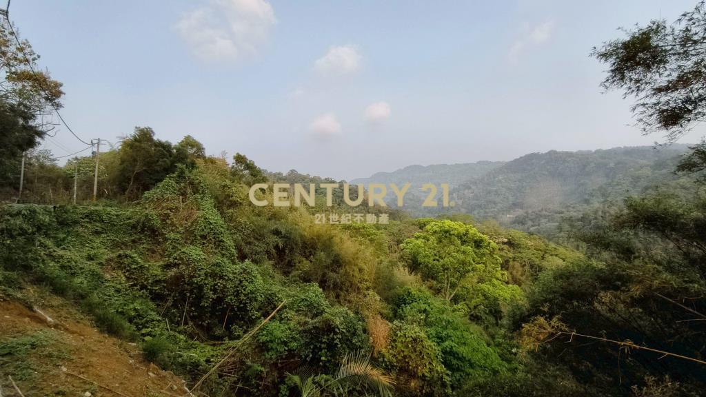 公館豐富作物林地