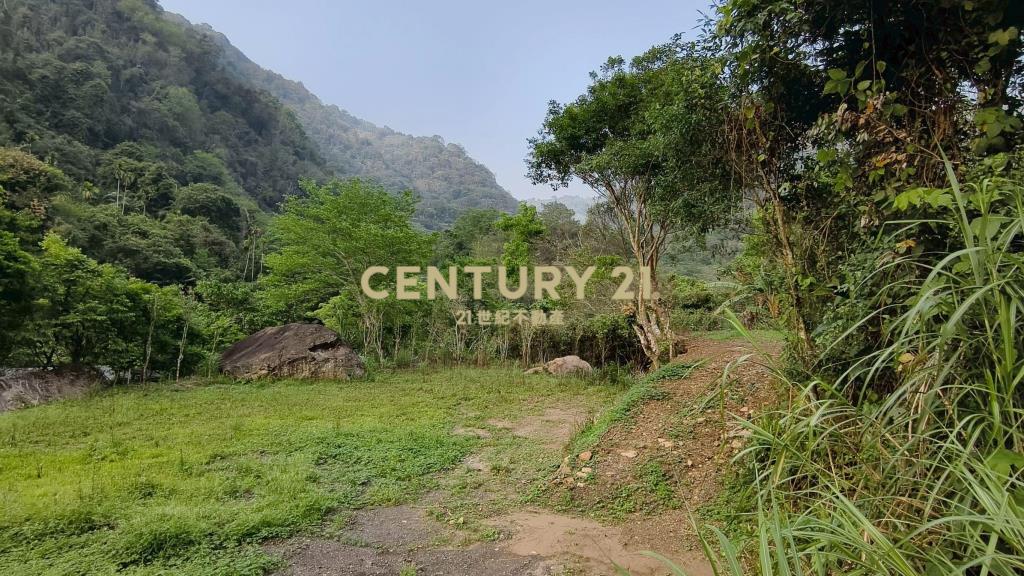 泰安鄰路平整休閒地