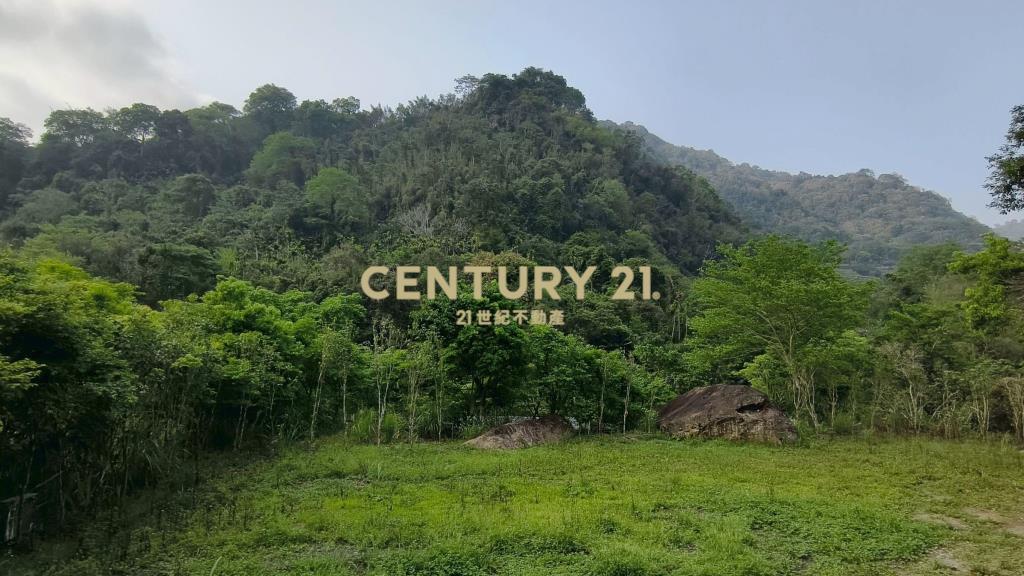 泰安鄰路平整休閒地