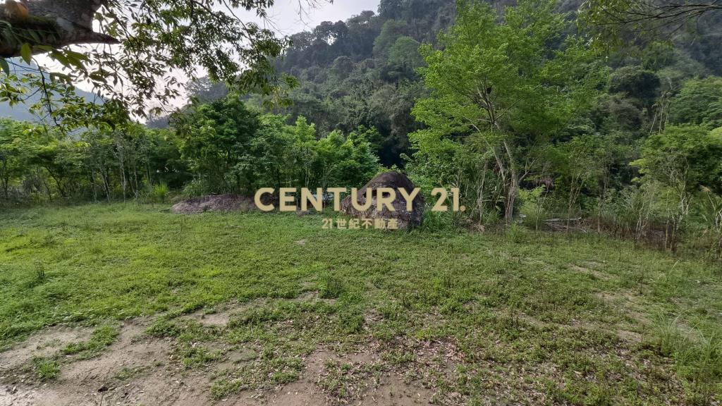 泰安鄰路平整休閒地