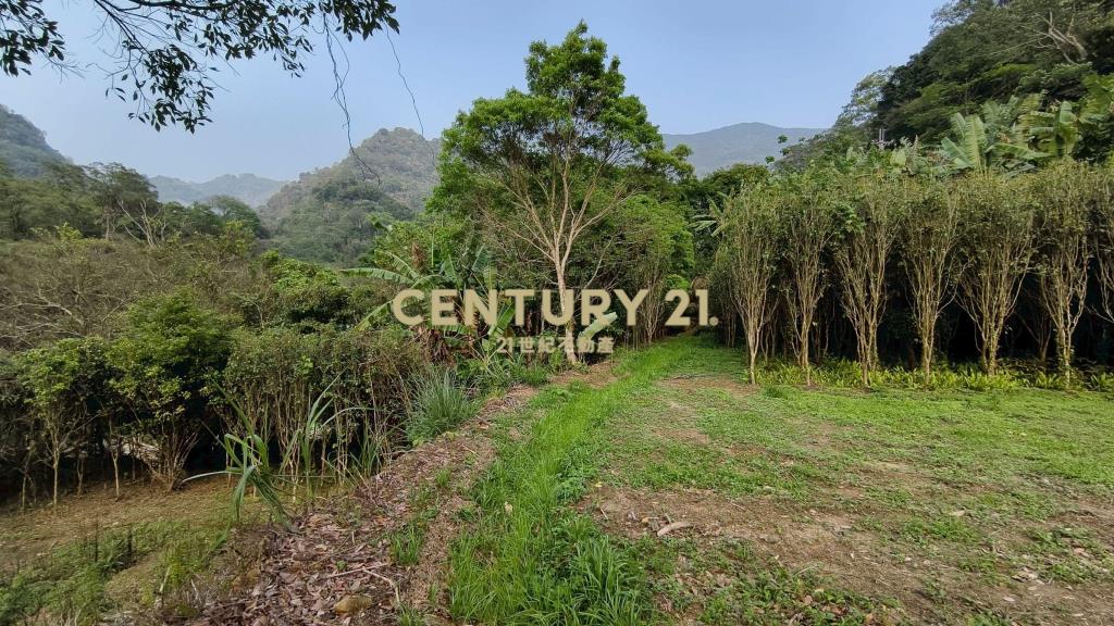 泰安鄰路平整休閒地