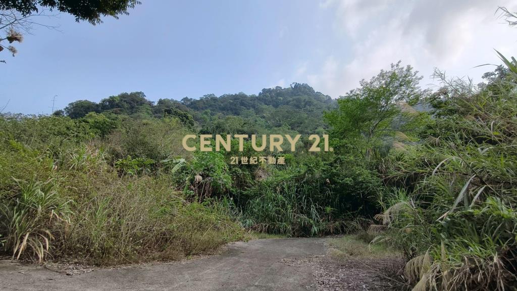 泰安鄰路平整休閒地