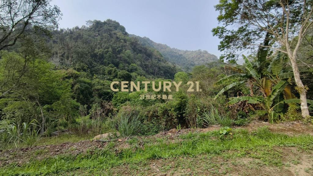 泰安鄰路平整休閒地