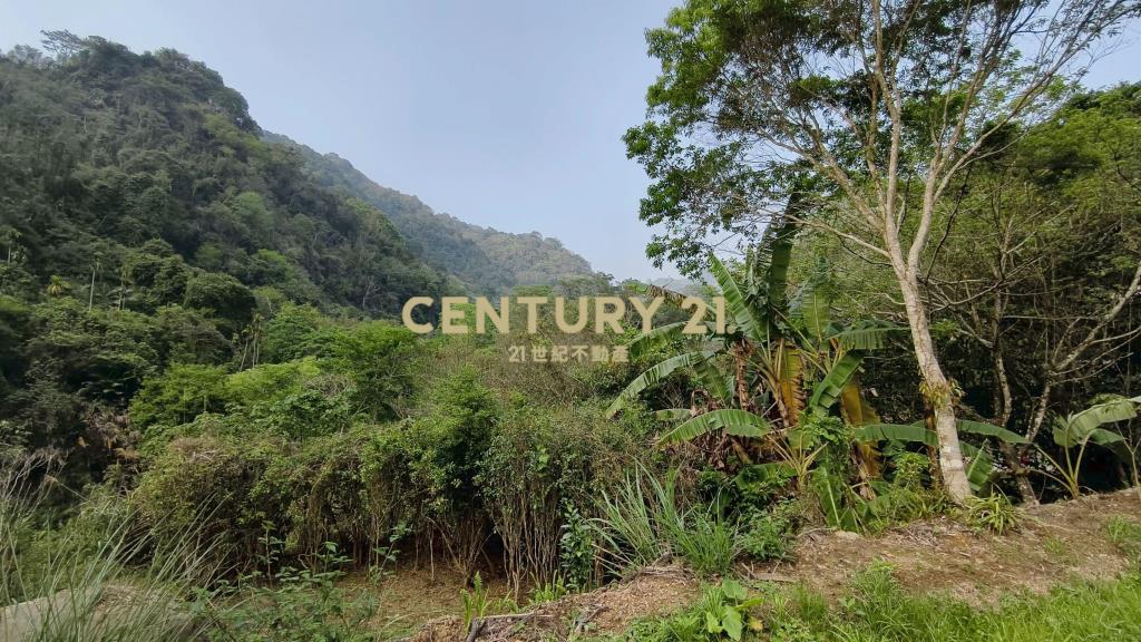 泰安鄰路平整休閒地