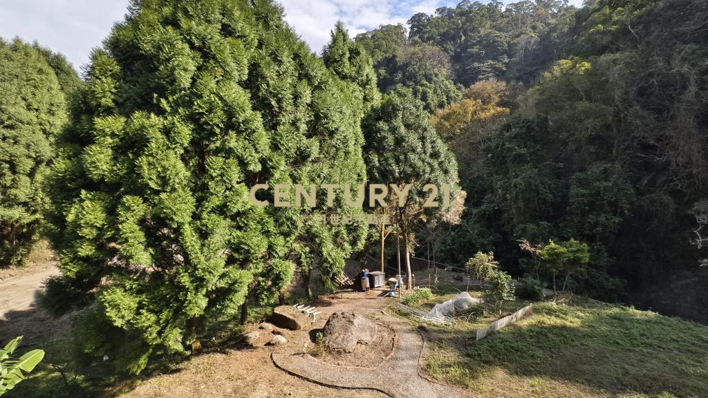 公館合法分戶景觀農舍