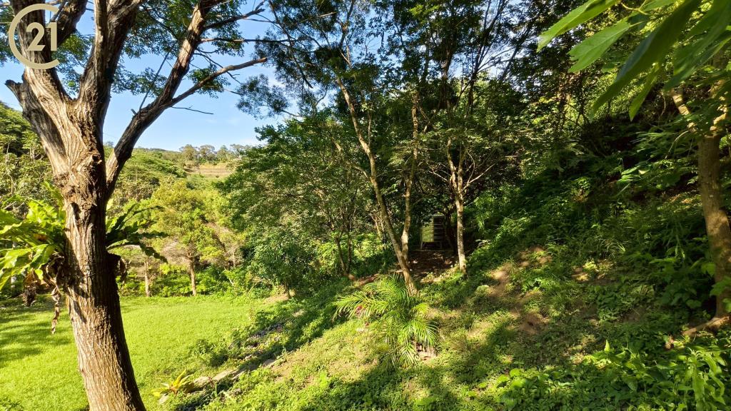 夢想中的莊園