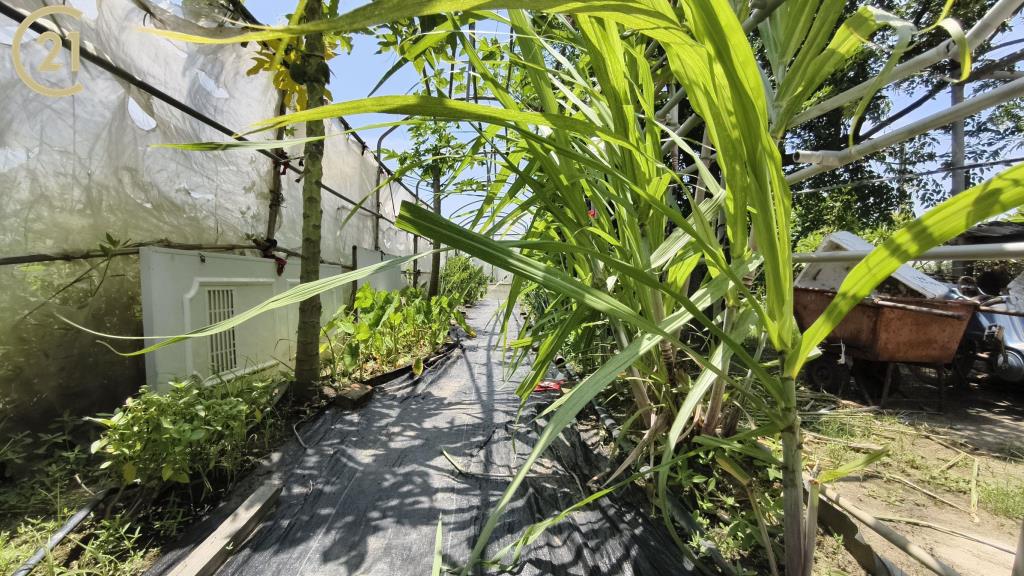 重機聚樂莊園
