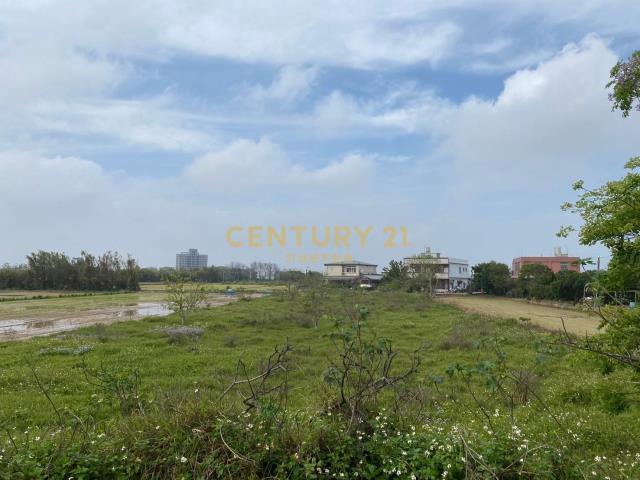 觀音新坡前後臨路農地