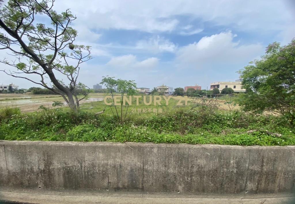 觀音新坡前後臨路農地