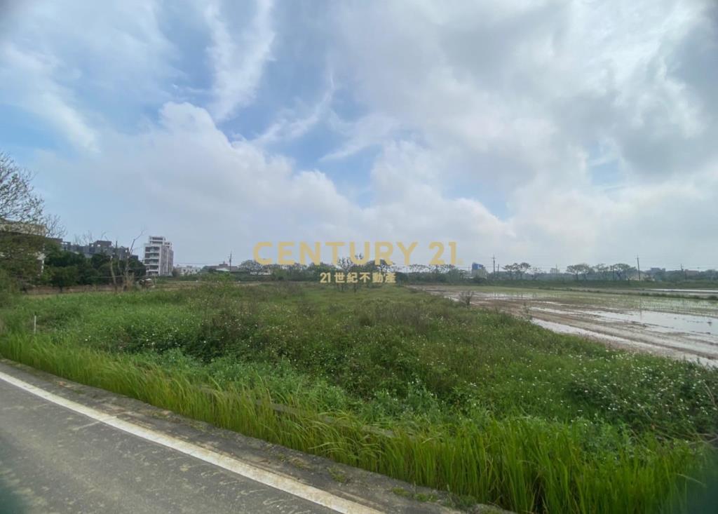 觀音新坡前後臨路農地