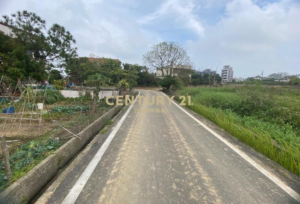 觀音新坡前後臨路農地