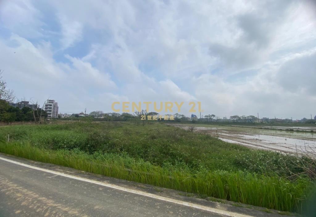 觀音新坡前後臨路農地