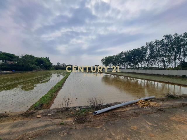 新屋番婆玟段農地