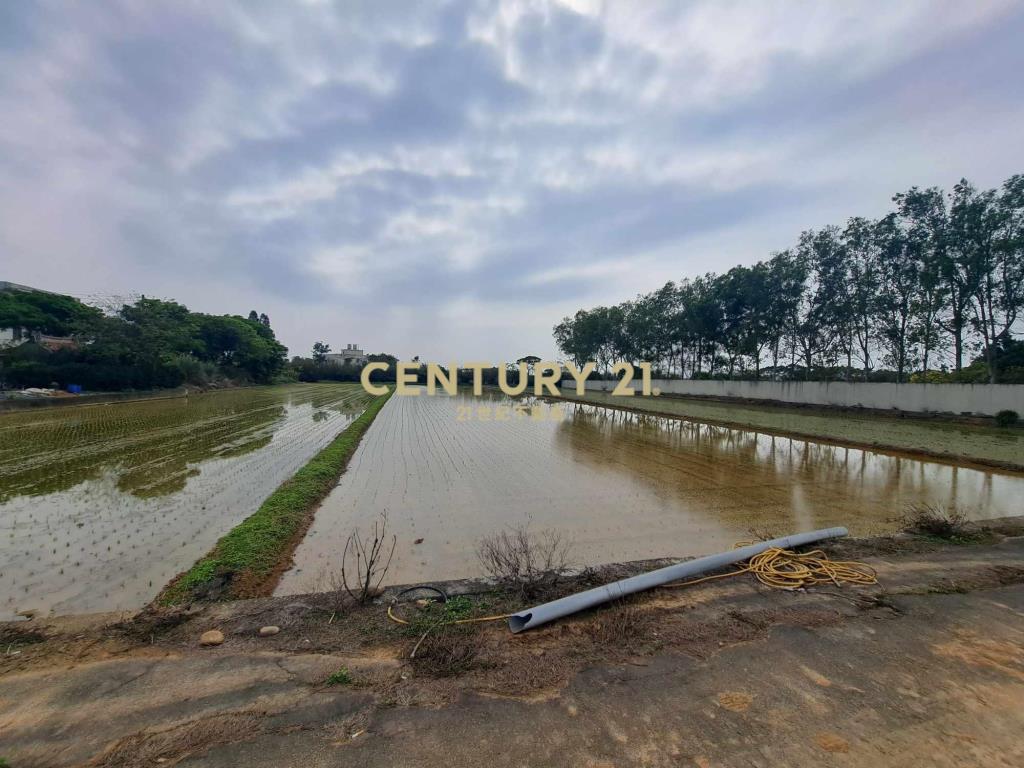 新屋番婆玟段農地