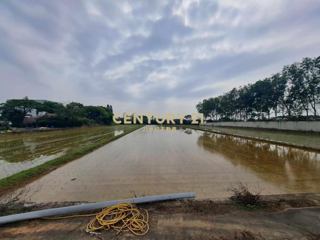 新屋番婆玟段農地