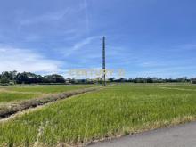 青埔高鐵旁都計內農地